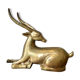 Gazelle laiton