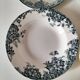 Set of 7 ironstone plates with floral friezes from the late 19th to early 20th century.