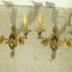 Pair of “Aux Cygnes” wall lights by Lucien Gau in Paris