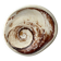 Fossilised shell