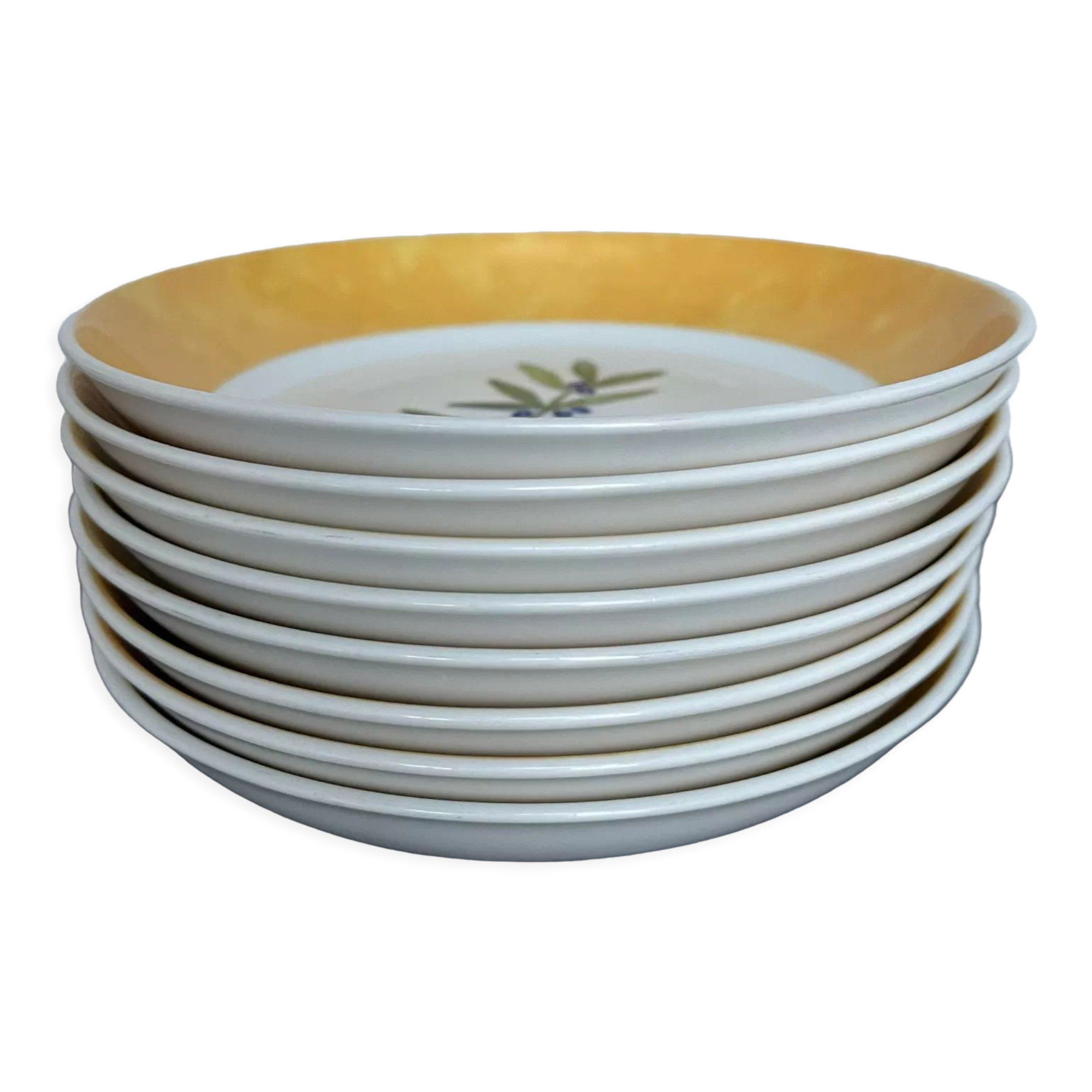 8 plates ceuses Guy Degrenne