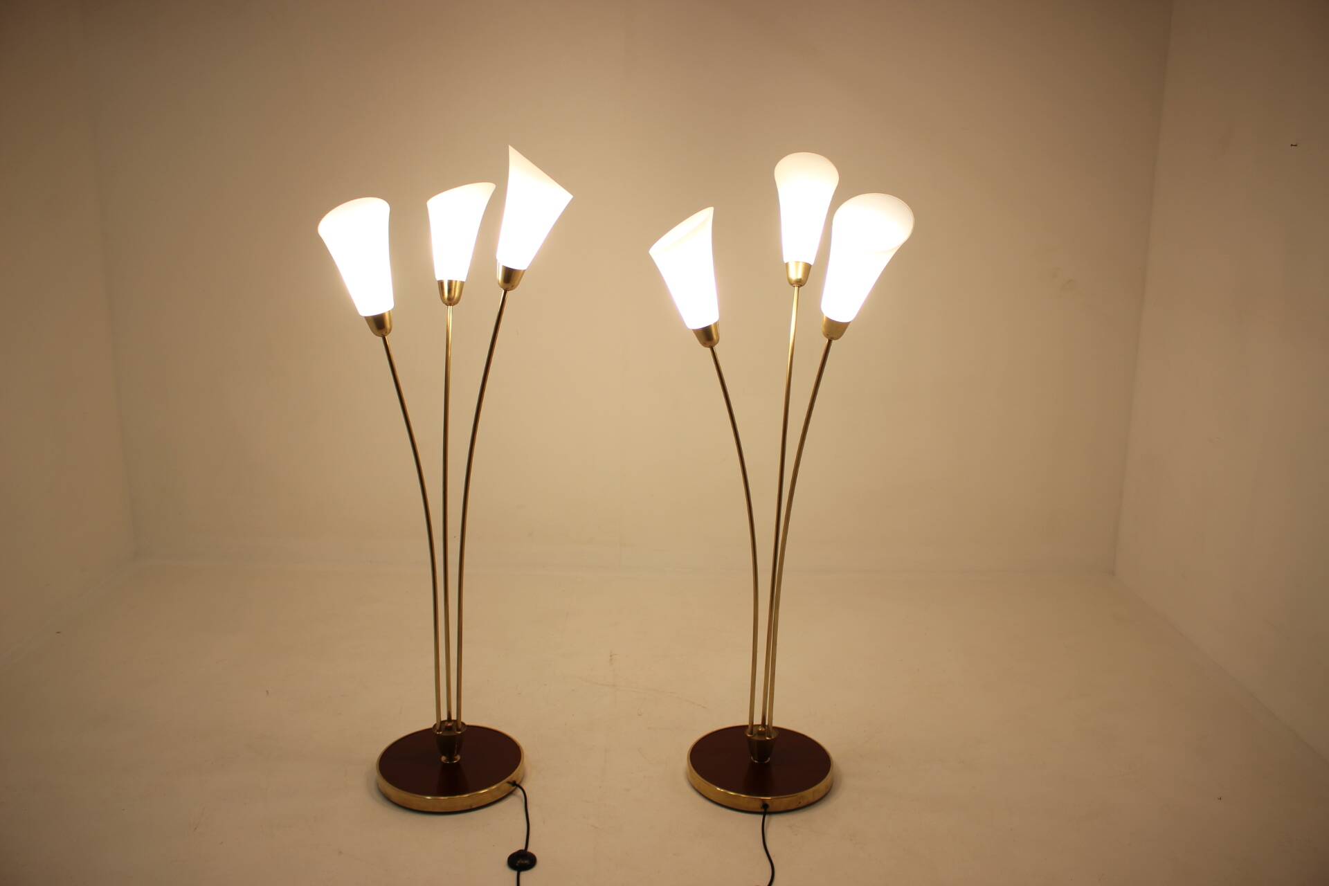 1940s Pair of Art Deco Floor Lamps, Czechoslovakia