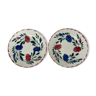 2 assiettes à motif floral