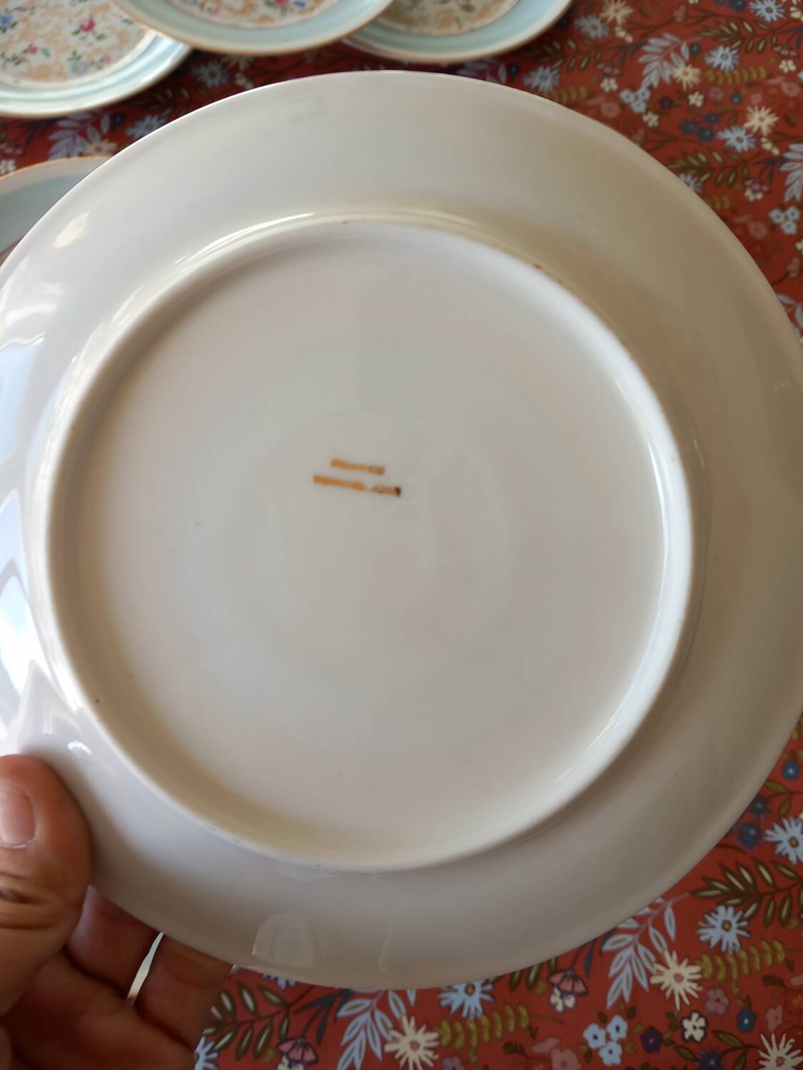 Dessert plates X10 Haviland