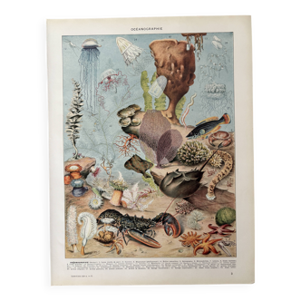 Lithograph on oceanography - 1930