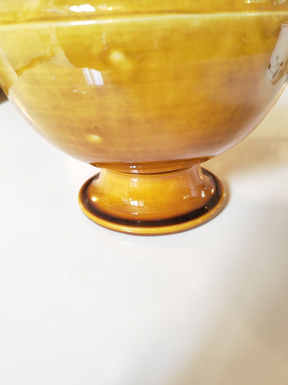 Coupe Aegitna Vallauris