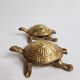 Pair of zoomorphic ashtrays, golden brass turtles