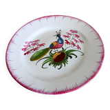 Rare assiette Les islettes en faïence à décor d'un paon. XIXème siècle.