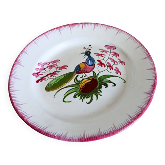 Rare Les Islettes earthenware plate decorated with a peacock. 19th century.