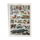 Planche animalière Mammifères 1922