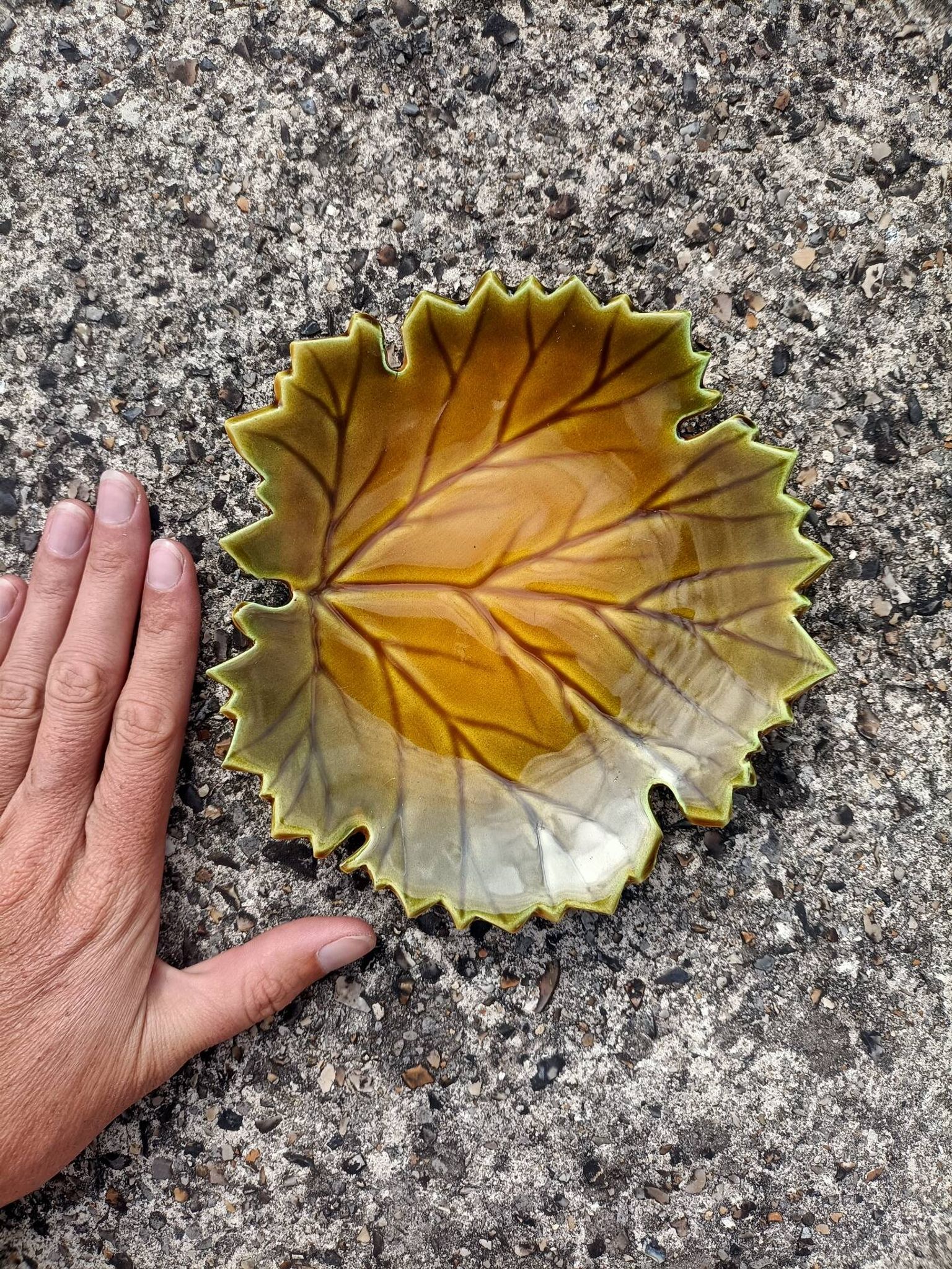 Vide poche Feuille Automne