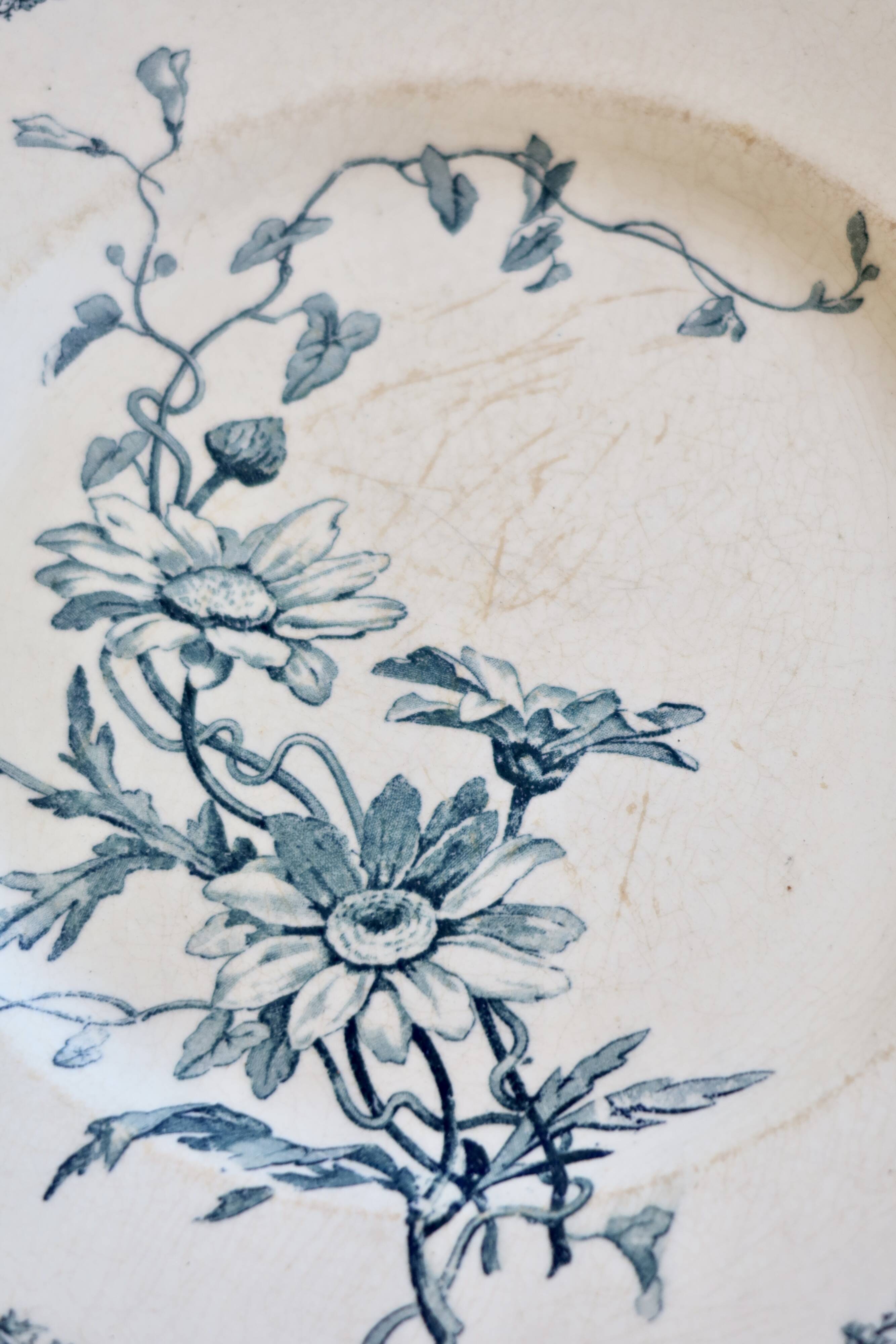 Antique flat plate, ironstone Lunéville K&G, Marguerite model.