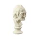 Large Classical Bust Bust Old Man Plaster 51cm