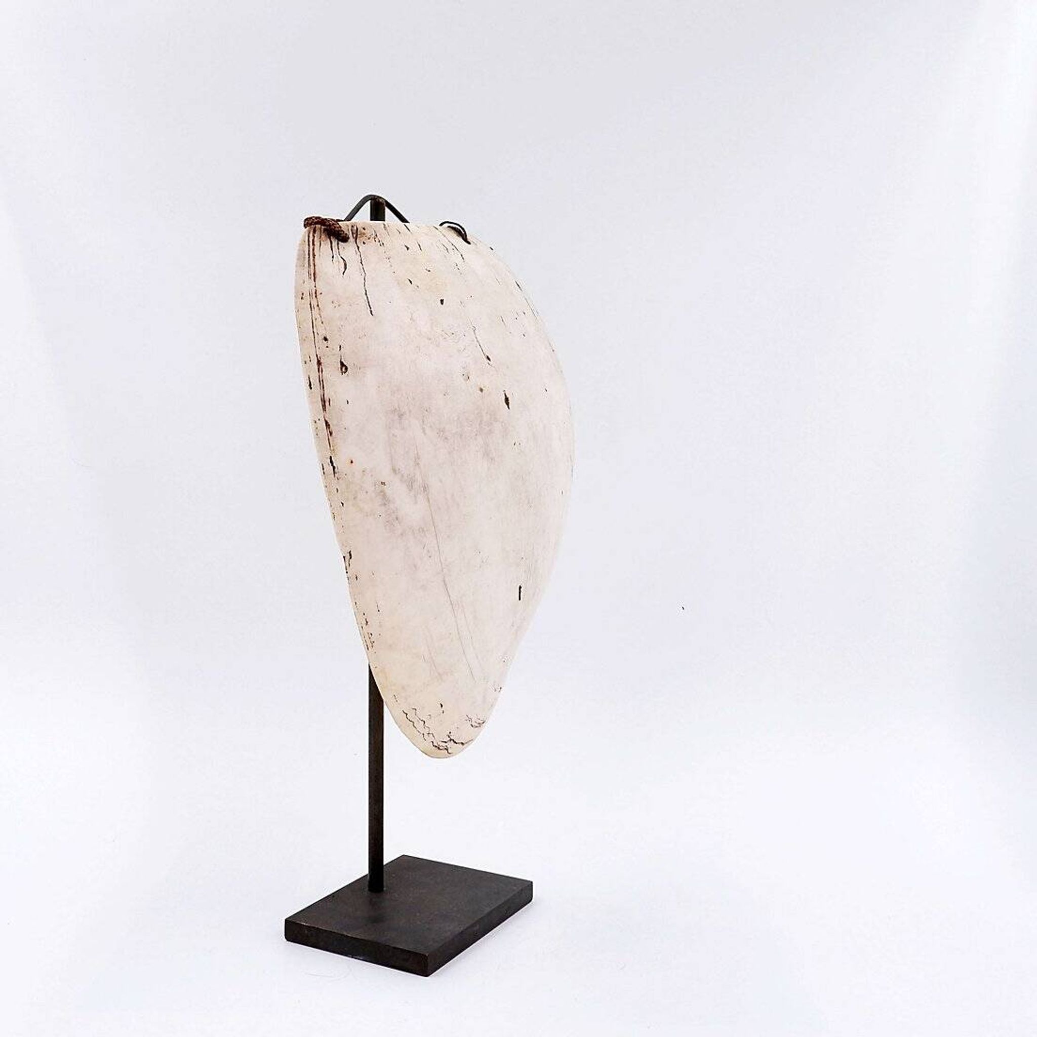 New Guinea Shell Breastplate