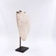 New Guinea Shell Breastplate
