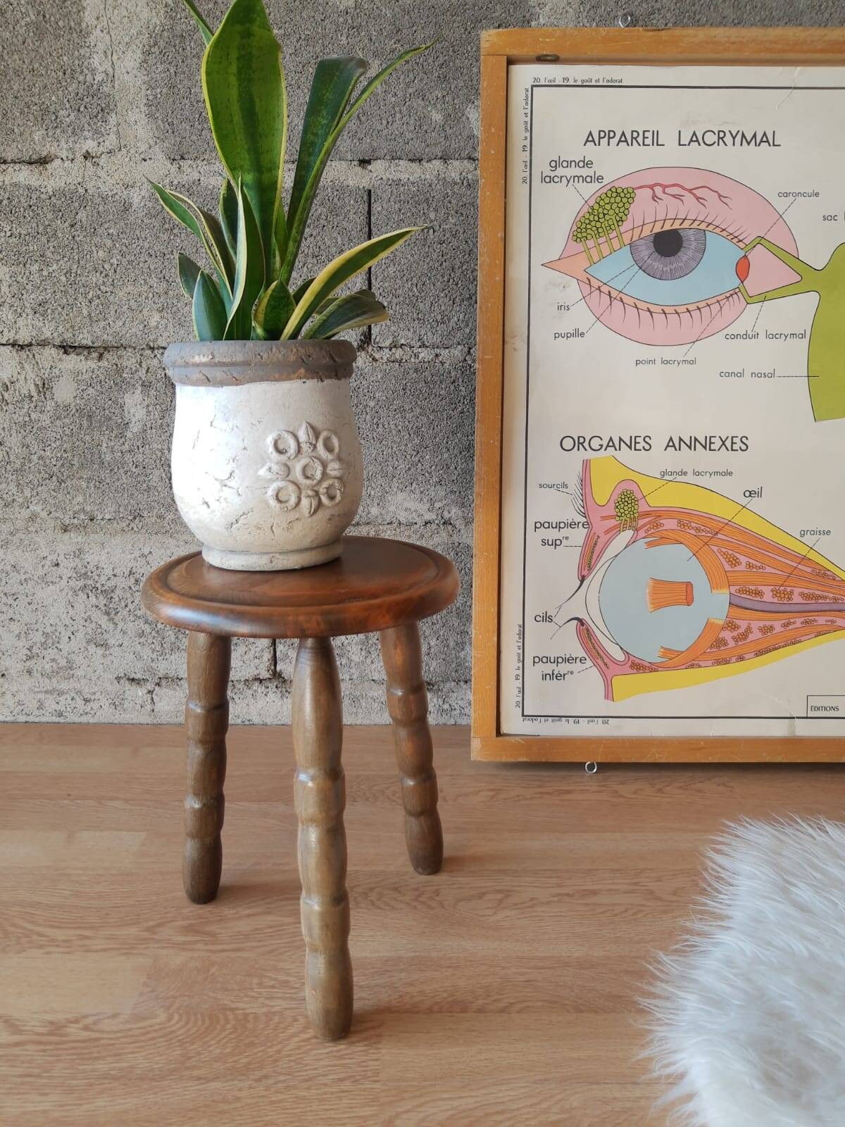 Ancien tabouret de ferme, campagne en bois tripode