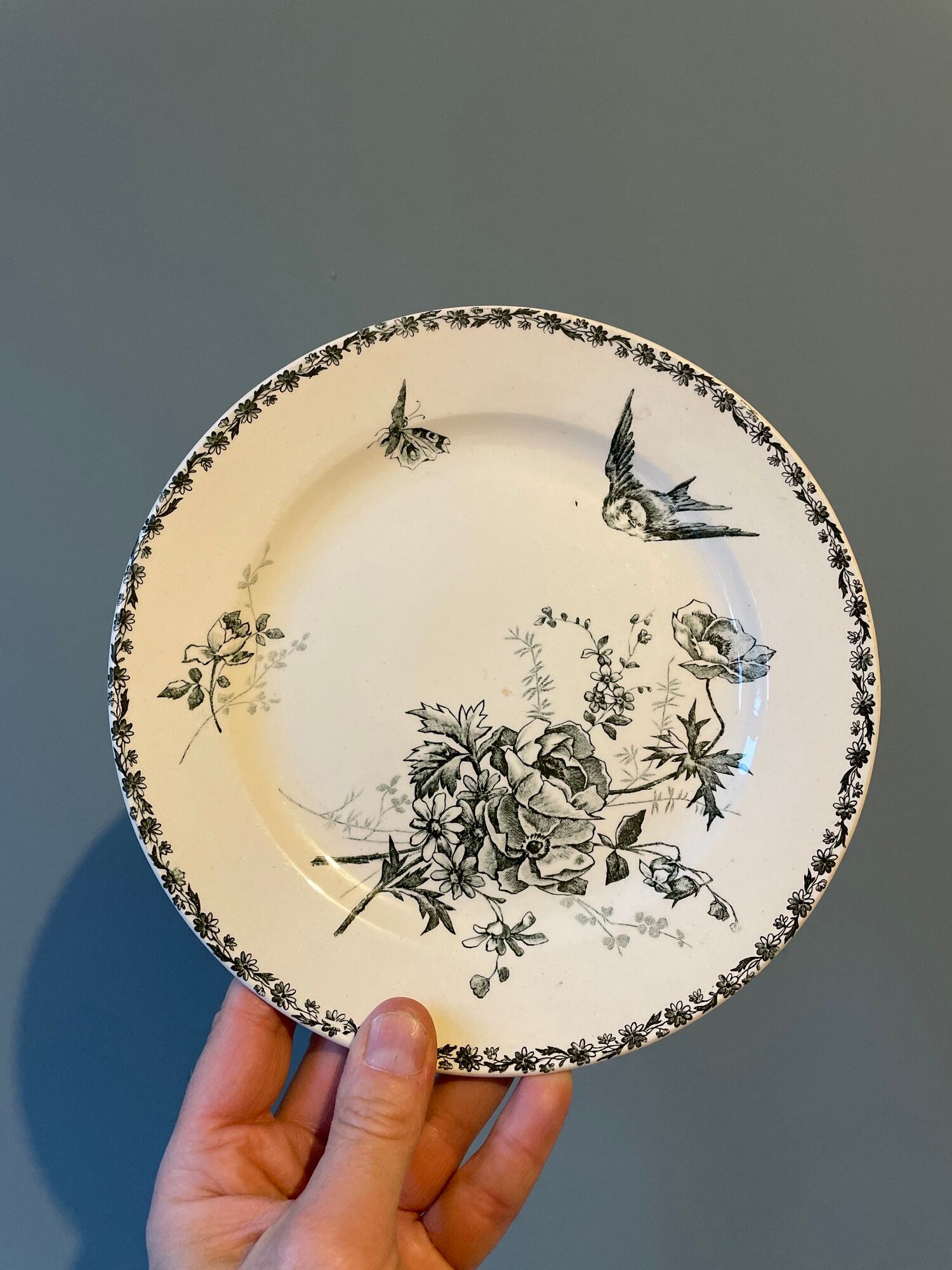 Set of 12 Terre de Fer dessert plates Grand Dépôt E.Bourgeois