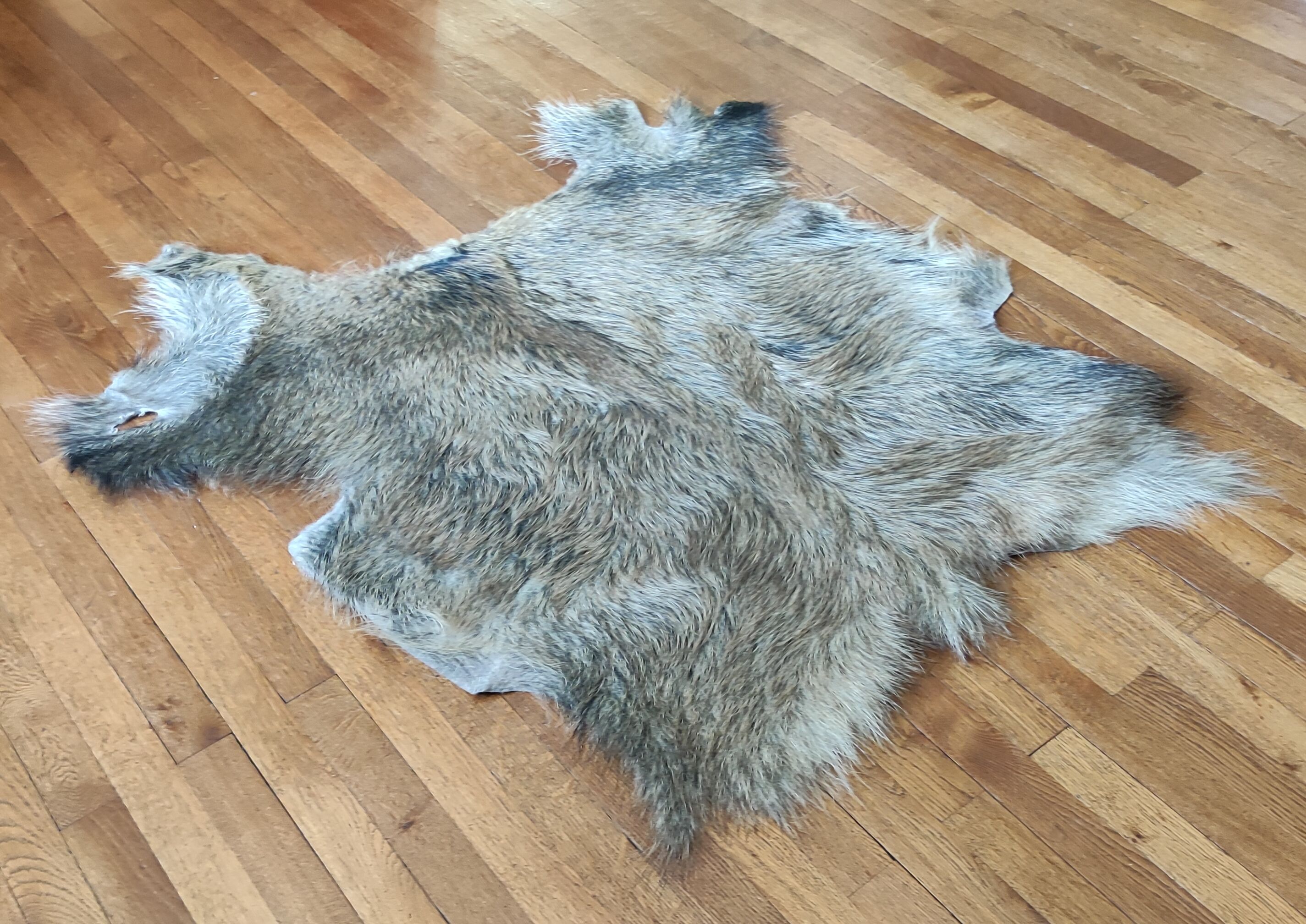 Tapis vintage peau de sanglier 117 cm X 103 cm
