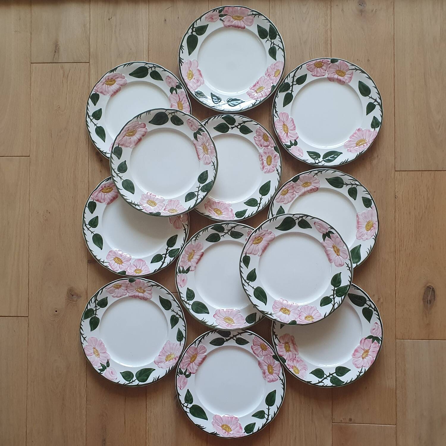 12 flat plates Villeroy and Boch Wild Rose