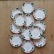 12 flat plates Villeroy and Boch Wild Rose