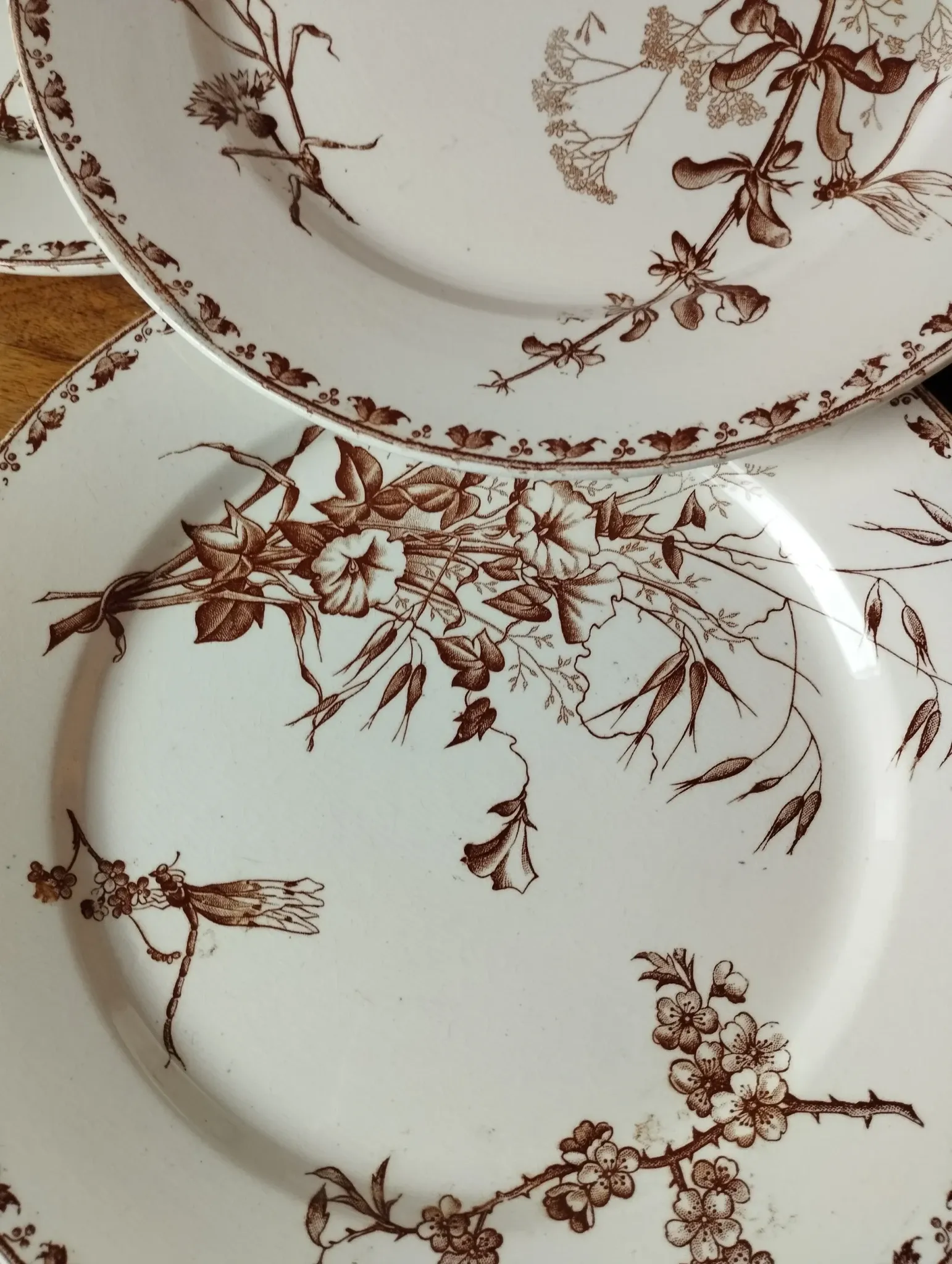 7 flat plates in earthenware from Sarreguemines U&C "Carmen"