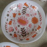 Lot of plates and glasses in vintage melamine VOLUFORM