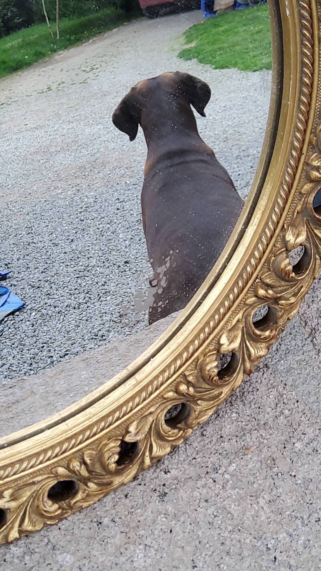 Round neoclassical style mirror in wood and gilded stucco from the 1950s