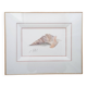Watercolor signed Romey