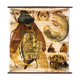 🔎 Vintage Poster from the early 20th century Paul Pfurtscheller Zoological Wall Chart Chafer