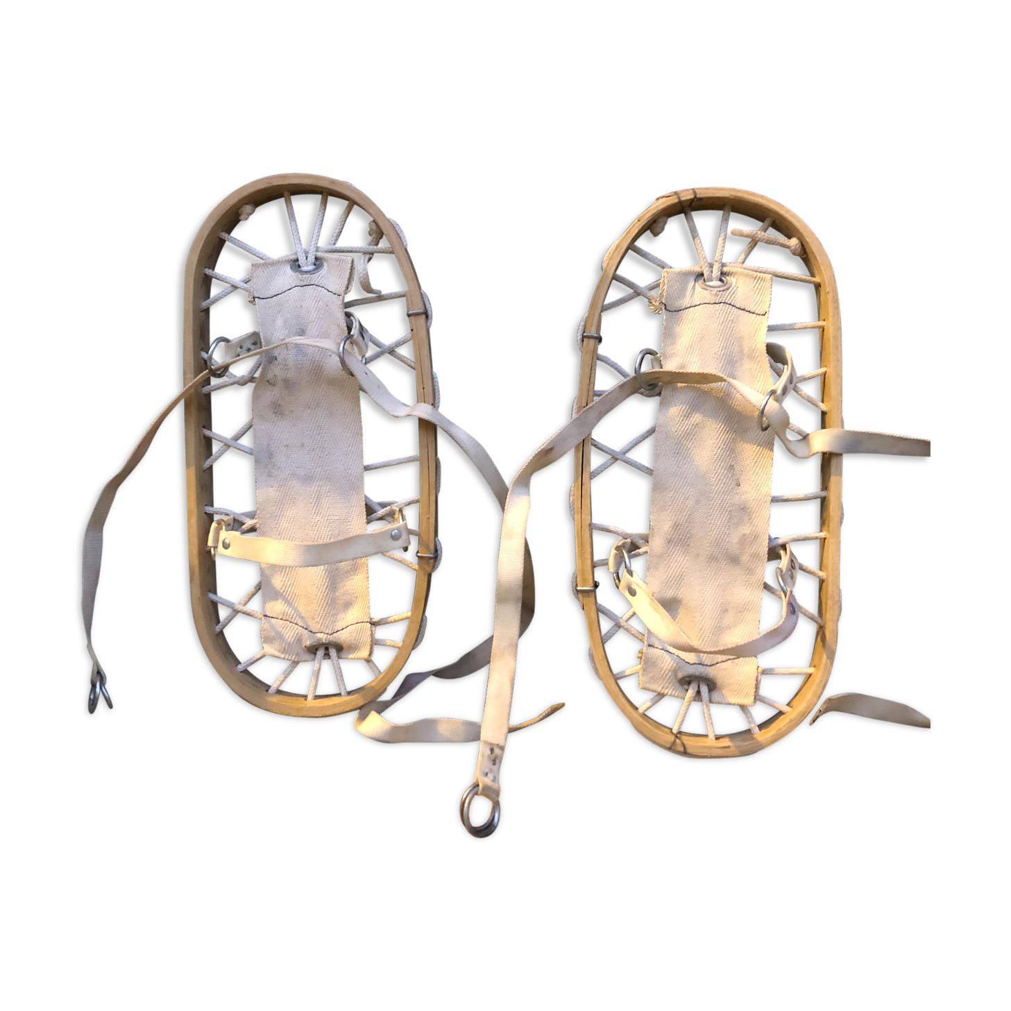 Snowshoe