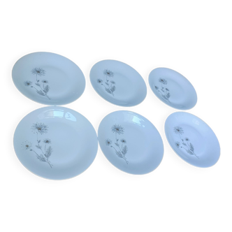 6 flat porcelain plates from Sologne Lamotte