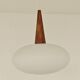 Suspension NG74 by Louis Kalff for Philips 1960