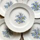 Assiettes en porcelaine Bavaria
