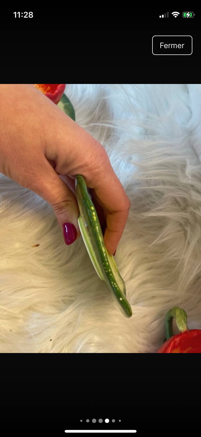 Poppy slushie service