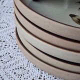 6 flat plates sandstone of the Arnon