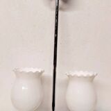 Vintage opaline lampshade chrome duck 2-arm chandelier