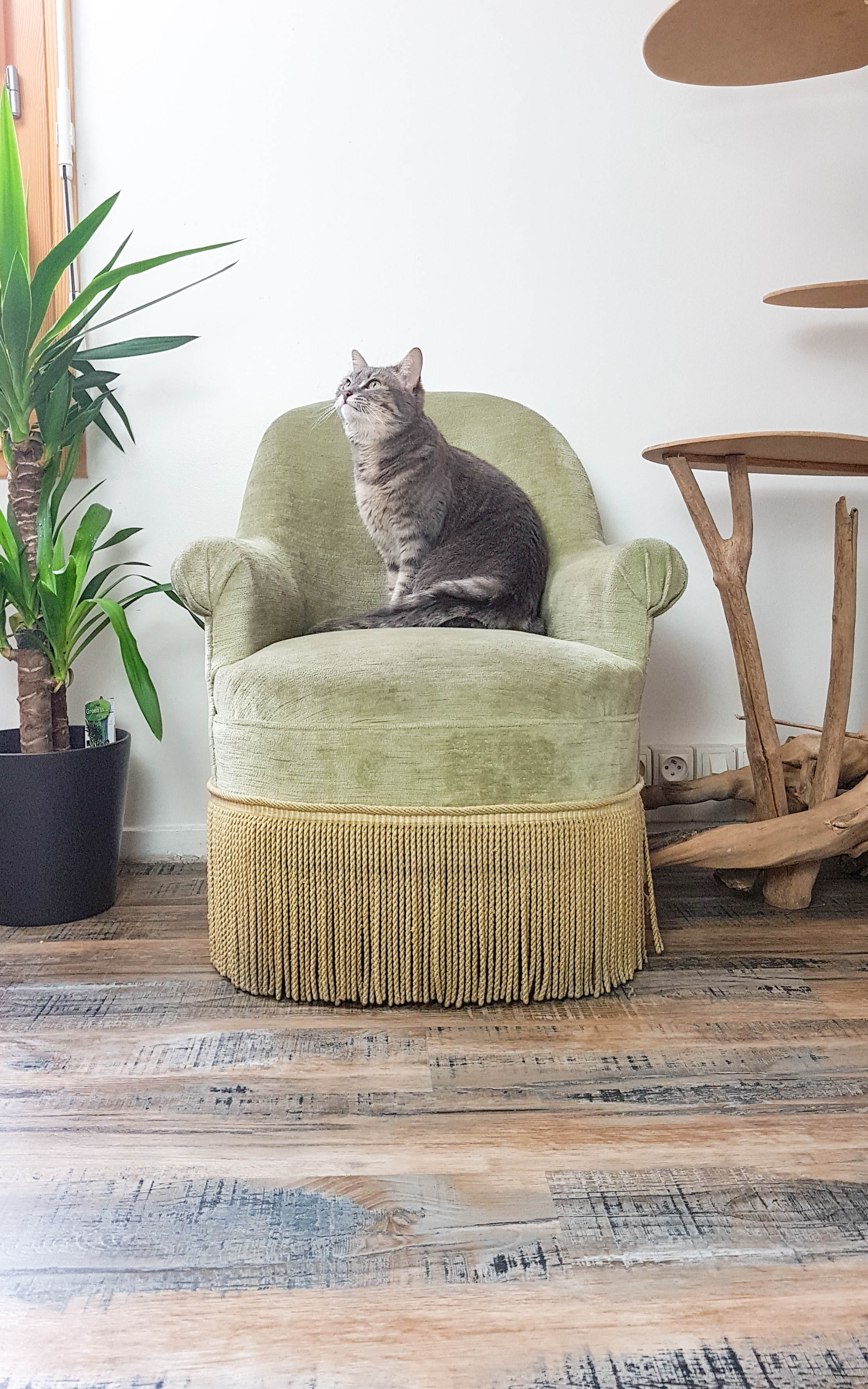 Vintage pistachio green velvet toad chair