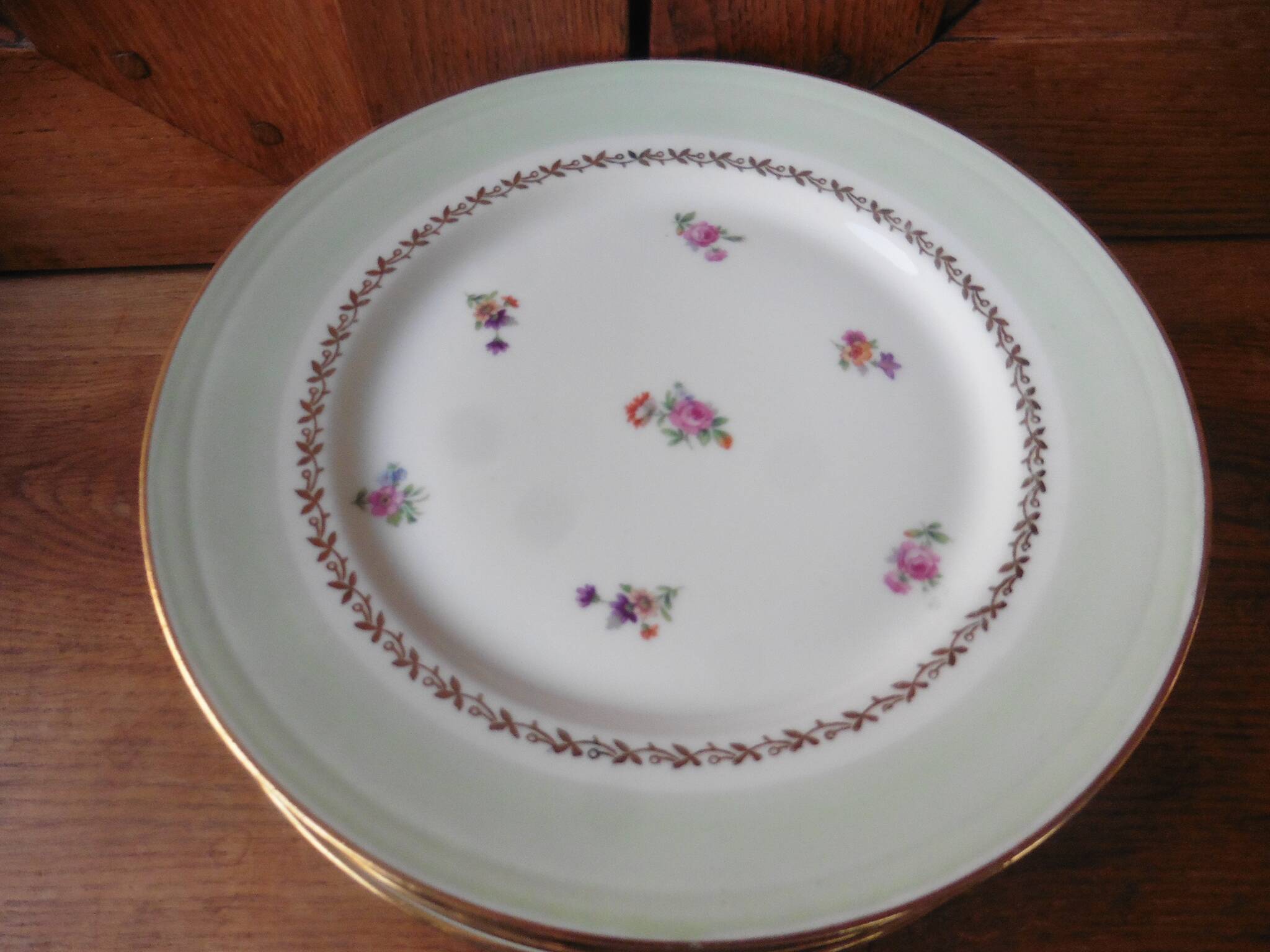 6 flat plates in PL Limoges porcelain 24 cm flower decoration with gold edging