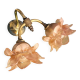 Double wall light