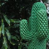Cactus Vert édition originale 1986 numérotée 1807 / 2000