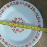 10 vintage Scania dessert plates