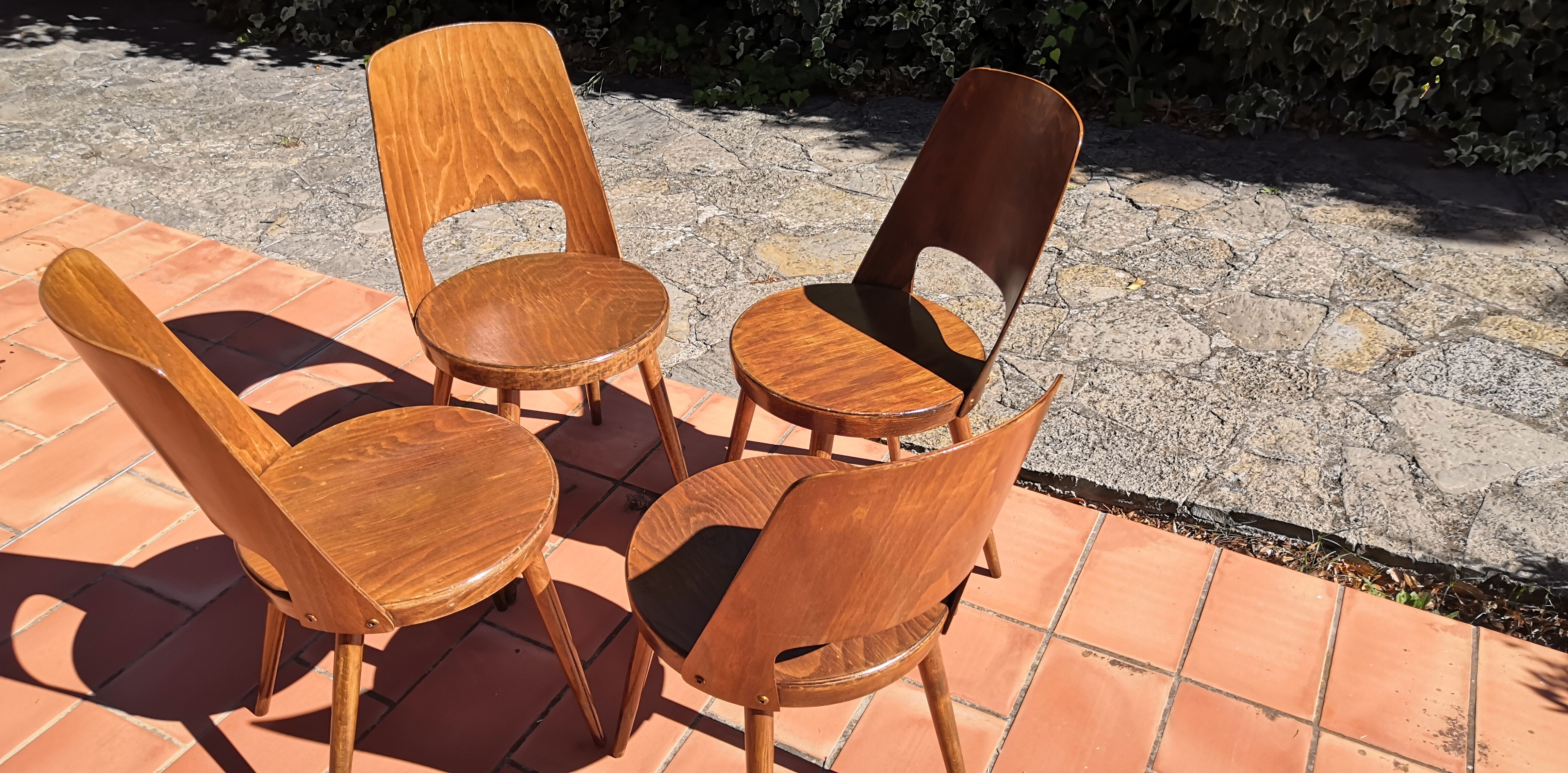 Vintage baumann mondor chairs 60