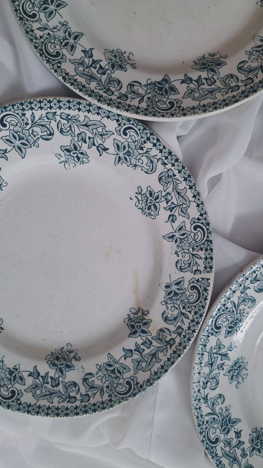 Set of 4 antique ironstone plates from Saint-Amand, "Jane" model.