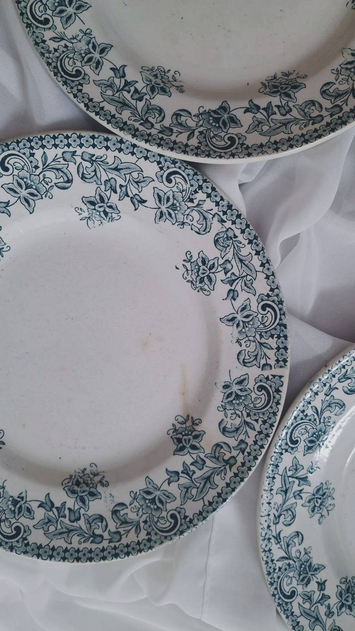 Set of 4 antique ironstone plates from Saint-Amand, "Jane" model.