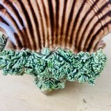 Empty pocket shell slip soap holder