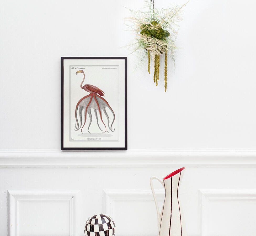 Chimera lithograph animal engraving - the pink flamoulpe