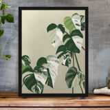 Illustration "Monstera Marbrée" by Noums Atelier