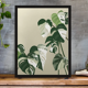 Illustration "Monstera Marbrée" by Noums Atelier