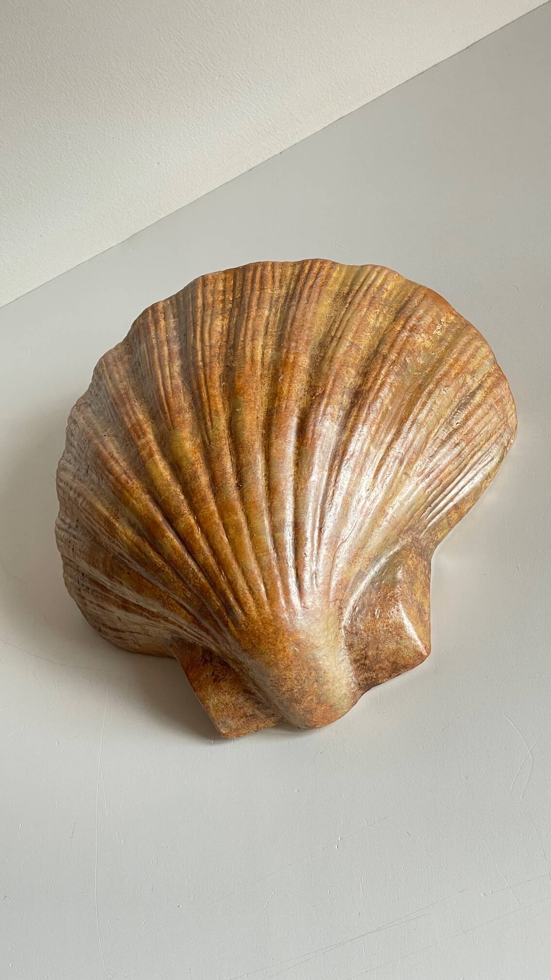 Shell wall enameled by aljezur