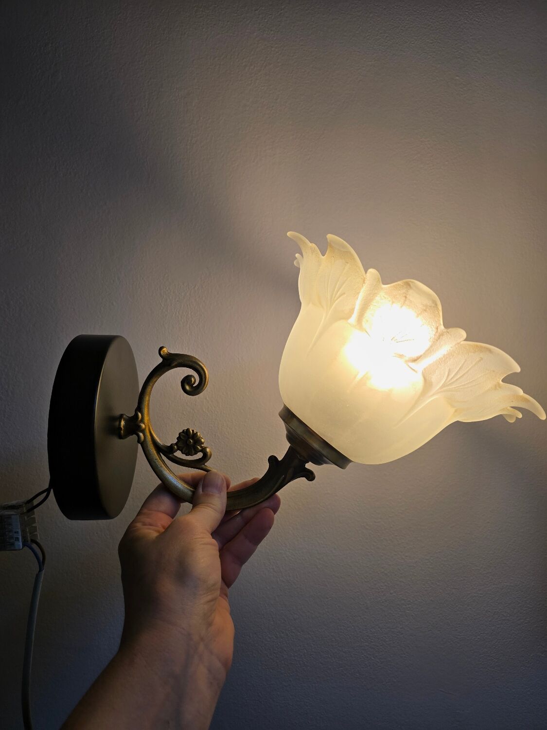 Frosted glass tulip wall sconces with brass arms.